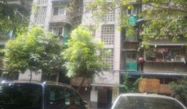 和平锦苑爆料最新消息,揭秘社区发展新动态