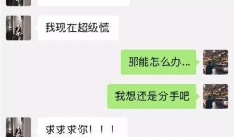吃瓜网红事件爆料,揭秘网络舆论背后的真相与争议